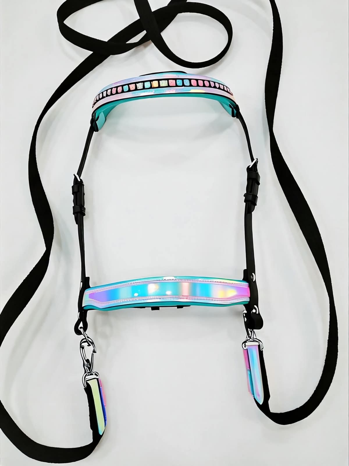 Leather Holo bridle